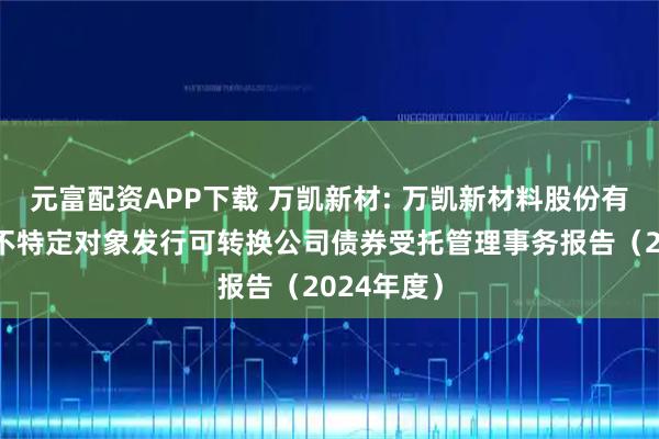 元富配资APP下载 万凯新材: 万凯新材料股份有限公司向不特定对象发行可转换公司债券受托管理事务报告（2024年度）