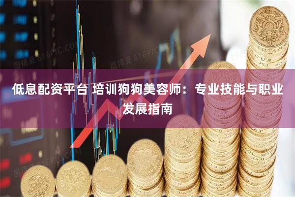 低息配资平台 培训狗狗美容师：专业技能与职业发展指南