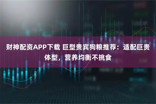财神配资APP下载 巨型贵宾狗粮推荐：适配巨贵体型，营养均衡不挑食