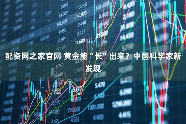 配资网之家官网 黄金能“长”出来？中国科学家新发现