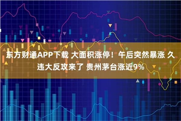 东方财通APP下载 大面积涨停！午后突然暴涨 久违大反攻来了 贵州茅台涨近9%