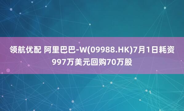 领航优配 阿里巴巴-W(09988.HK)7月1日耗资997万美元回购70万股