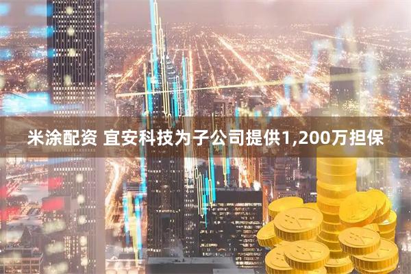 米涂配资 宜安科技为子公司提供1,200万担保