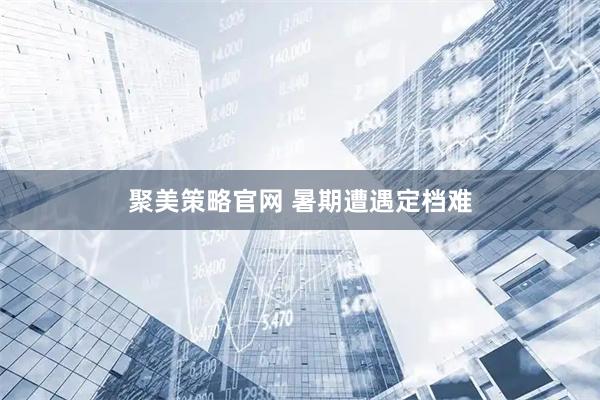 聚美策略官网 暑期遭遇定档难